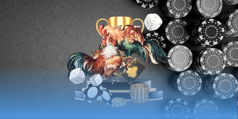 Bỏ túi các mẹo chơi đá gà JJ88 bất bại